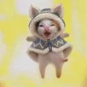 valkymeow