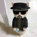 iikev