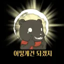 검은곰(BlackBear)