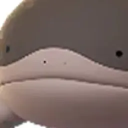 Blank's Avatar