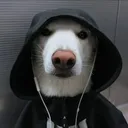 zephio