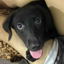 friday.25th#7590's avatar