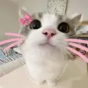 oscar.0001