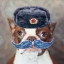 capitan_sexyyo