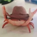 plastered_crab