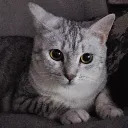 Zero's Avatar