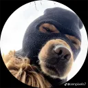 .chango