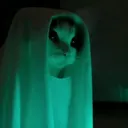 mysteriouscat