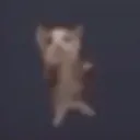 _.