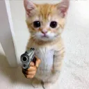 __spydt__