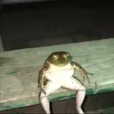 anaosato