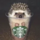 whyrosy