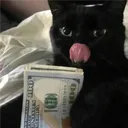 010010101010101