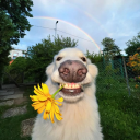 avatar Pflanzi🌱