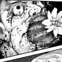 .mukkai