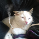 Discord Avatar