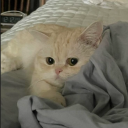 avatar 𝓢𝓪𝓷𝓭𝓻𝓪 ღ