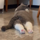 avatar 𝓢𝓪𝓷𝓭𝓻𝓪 ღ