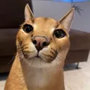 justeitan