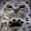 rusaa