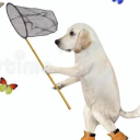 avatar onion knight Mya ⚔⋆.˚ ࣪ ˖