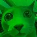 raxrorz
