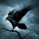 wildraven.
