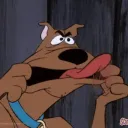 dog2_