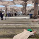 riyadland