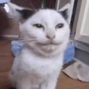 avatar Great Menager