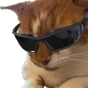 handsome_ransom