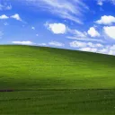 vinigalbiati