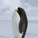 matt_hs_