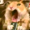 bonluke