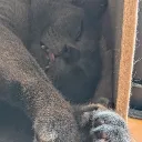 hiro_3745