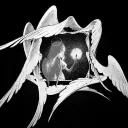 elysianlove