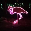 phelca
