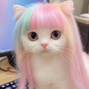 avatar SASNI MALCHIK ZAYCHIK