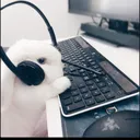 mtkcsgo