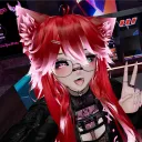 kurykat
