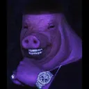 devnm11