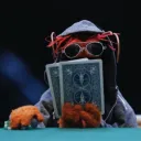 .zoik