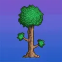 treee64