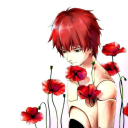 avatar ⃟⃟⃟⃟⃟⃟⃟⃟⃟