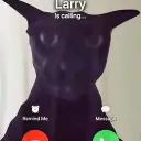 cerberus324