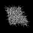 shreddedwheat