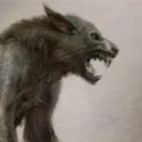 wolfi1886