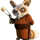 master_shifu