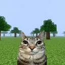 kevi1