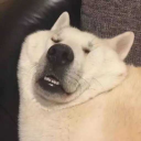 doge_6969#4141's avatar